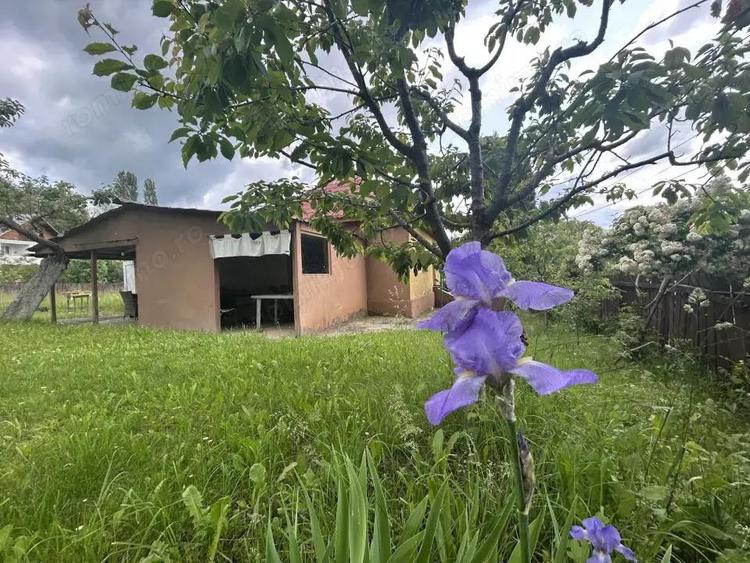 VAND CASUTA CU 3120 MP TEREN, SURDESTI BREAZA - 10