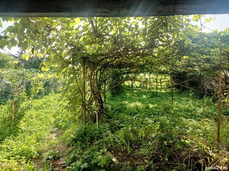 Inchiriez Proprietate la Munte - 3