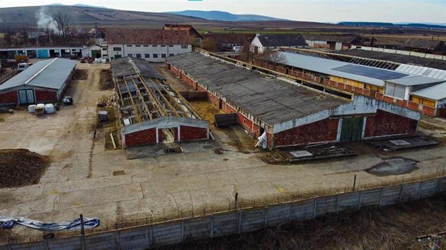 Ansamblu agrozootehnic cu renume,dotat +valoare exceptionala+potential versatil, - 50