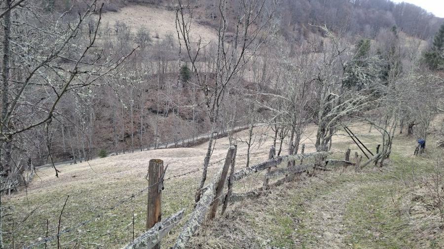 Casa de vanzare in Bucium (Alba) cu teren generos, apr - 6