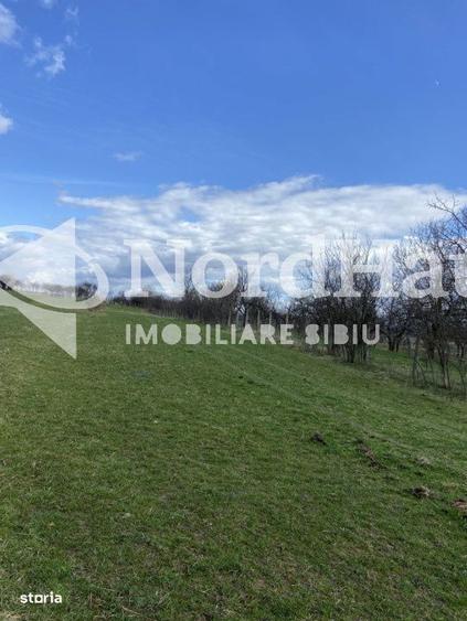 Teren Extravilan Rasinari 1500 mp | Zona deosebita - 5