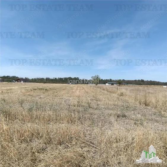 Teren intravila de vanzare Pruni Magurele