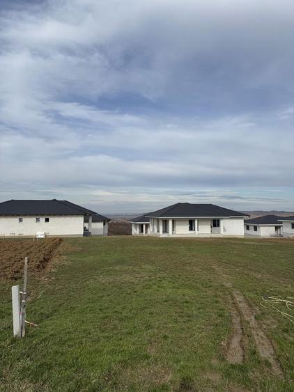 Teren str.Piersicilor Paleu - 5