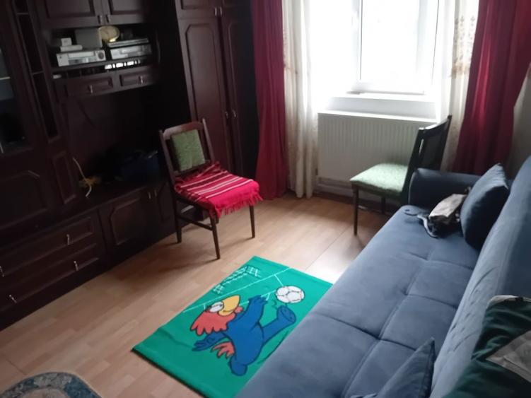 Ap 2 Cam Orion 40mp etaj 1 , mobilat centrala termopan - 3