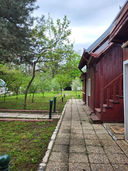 Refugiul tău verde, aproape de oraș la Snagov - 3