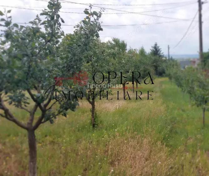 Oportunitate! Teren intravilan, 1178 m.p., de vanzare, Letcani - Iasi Oportunitate! Teren intravilan, 1178 m.p., de vanzare, Letcani - Iasi