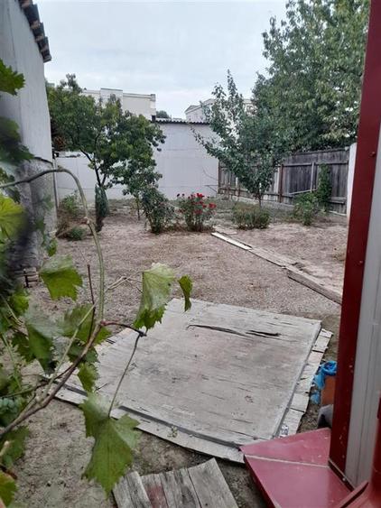 Teren+ Hala, zona Radu Negru- Buzaului , Suprafata - 256 mp - 2