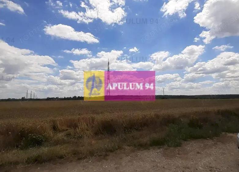 Teren 715mp in Snagov langa Equestria - 11