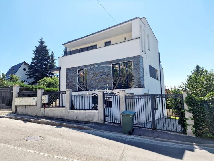 Sediu profesional sau locuinta, cu terasa panoramica in Gruia - 2