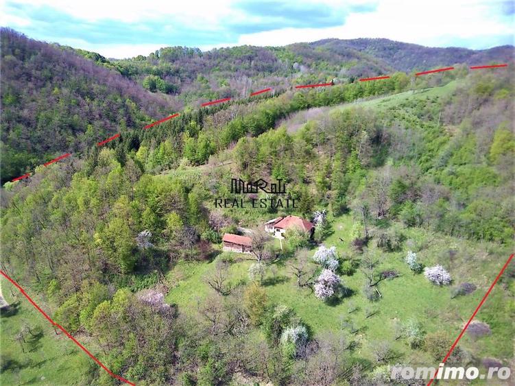 Domeniu de 7 ha in Apuseni - Criscior, Hunedoara - 9