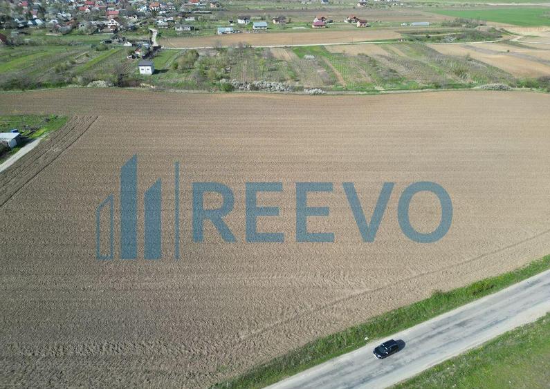 Teren de vanzare, Com. Nicolae Balcescu, Jud. Bacau - 6