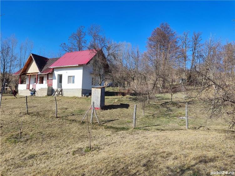 Vand teren si casa in comuna suici judetul arges - 4
