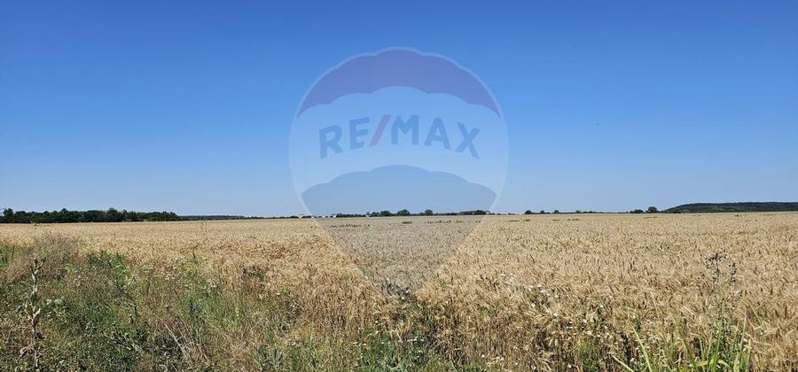 Teren Extravilan la granita cu Intravilanul - Măcheaua-Corbeanca - 2