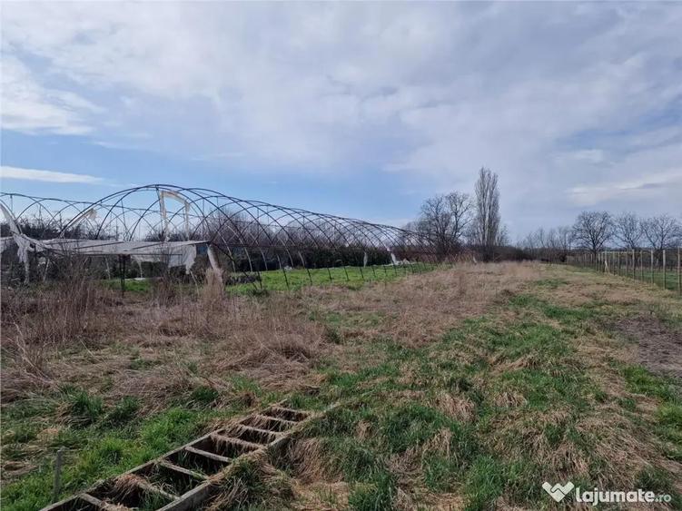 Casa de demolat cu teren mare in Bors - 6