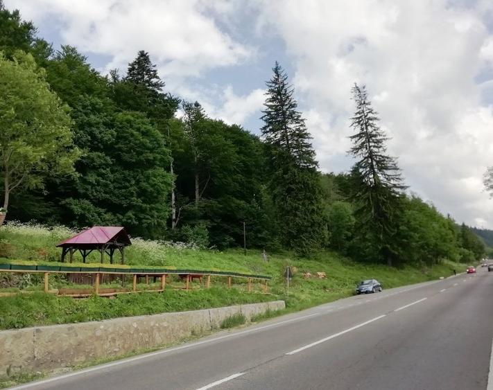 Teren Busteni, 3.999 mp, deschidere DN 1 aprox. 113 m, comision 0% - 1