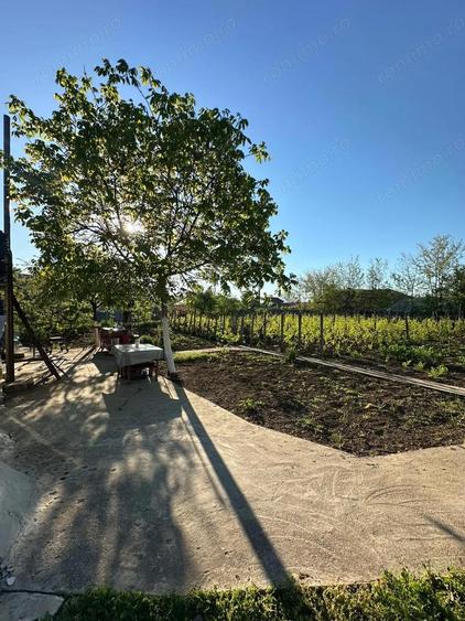 Direct proprietar: Casa demolabila + teren 1167 mp - 7