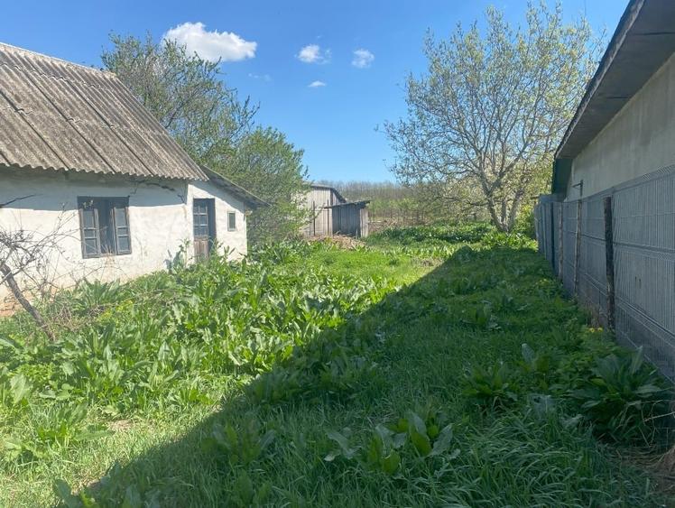 De vanzare teren Ciolpani intravilan / schimb cu apartament in Bucuresti - 4