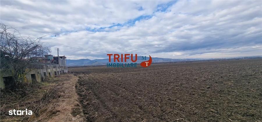 Teren de vanzare zona industriala - 1