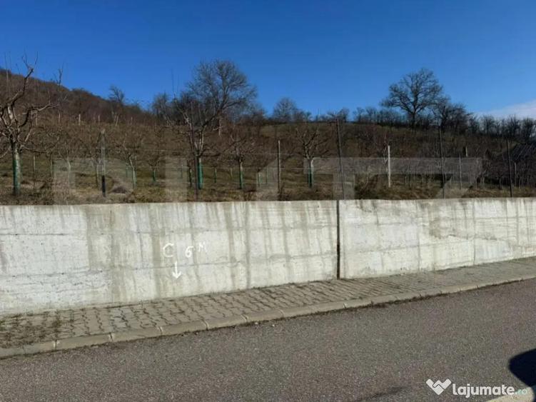 Teren de vanzare, Zona linistita, ideal construire - 3