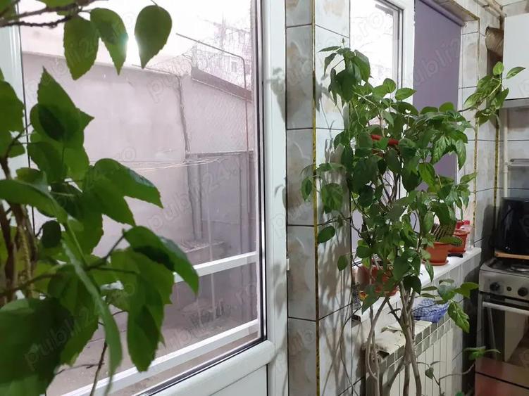 Vinzare Apartament 2 cam. cf.1 parter, semimobilat, zona Radu Negru - 7