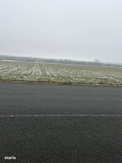 Vand teren agricol cu suprafata de 260000 mp - 2