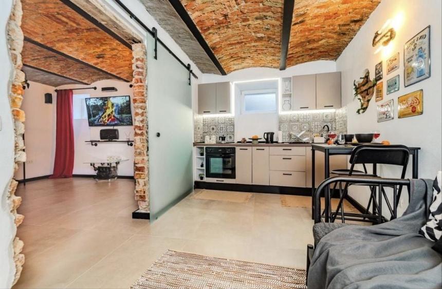 Apartament Pet Take Ionescu Medicina Tipografilor Badea Cartan Simion Barnutiu Complex Studentesc FEAA Politehnica UVT Iulius Cardinale Bastion Cetate - 1