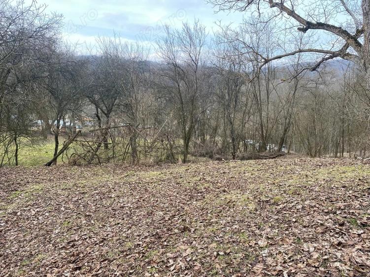 Vanzare casa si teren comuna Valea Lunga - Cricov, jud. Dambovi?a - 9