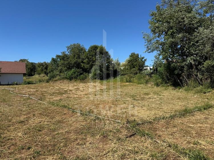 4 Parcele de vanzare | Rasinari - 6