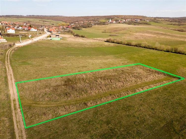 RECO teren intravilan in Betfia - 3