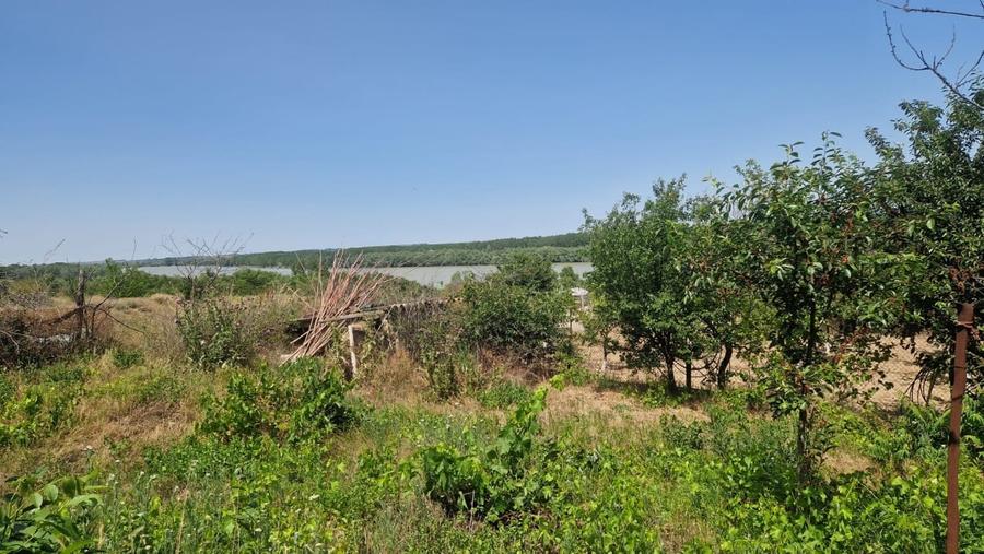 MAHMUDIA-TERENURI SI CASE - 5