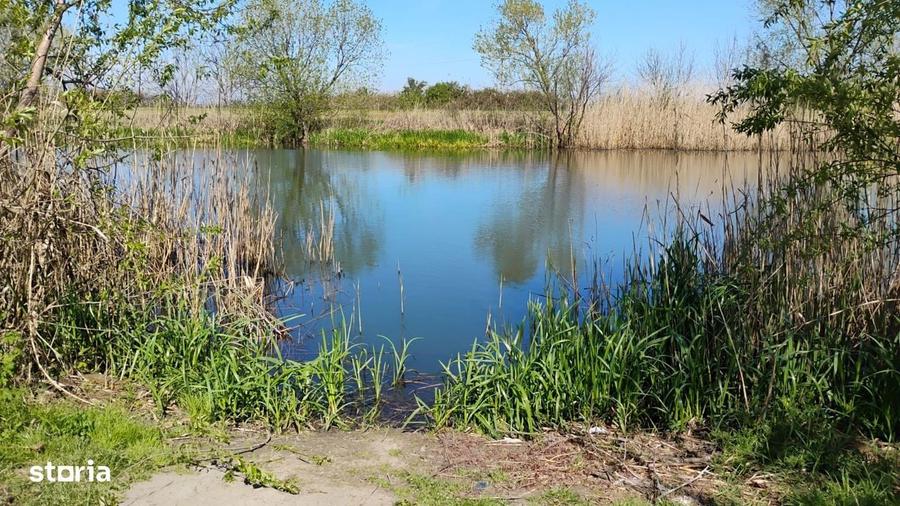 Vand casa cu teren 1000 mp2 Utvin, la 3 km de Timisoara - 11