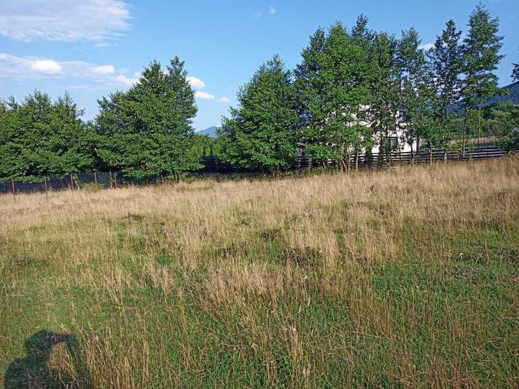 Teren de vanzare 1060mp Zarnesti/Tohanita - 1