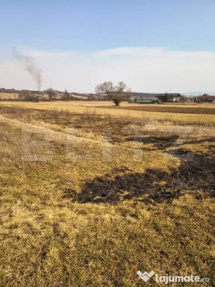 Teren extravilan de vanzare, 40 ARI, zona Racsa - 2