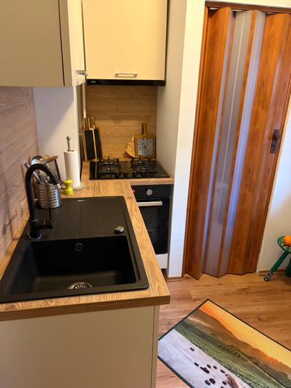 Floreasca, Puccini, apartament 2 camere, mobilat si utilat, imobil reabilitat, - 4