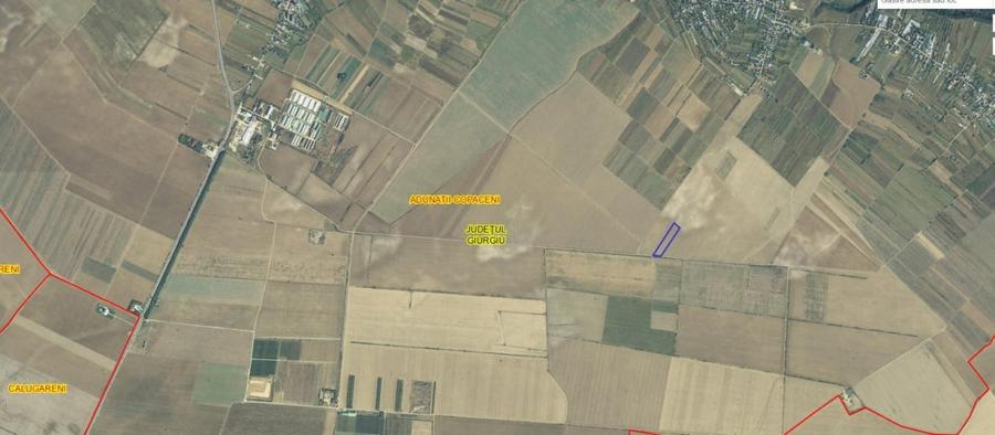 Teren Adunatii Copaceni - 3