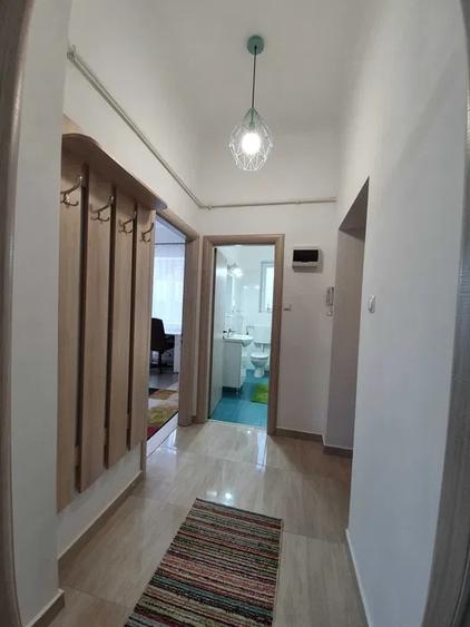 Apartament 1 camera, recent renovat, Strada Crisan - 3