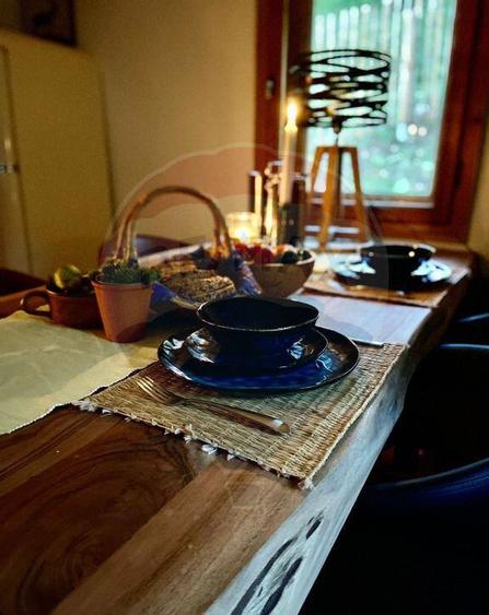 Casa de vacanta la munte de vanzare - 16