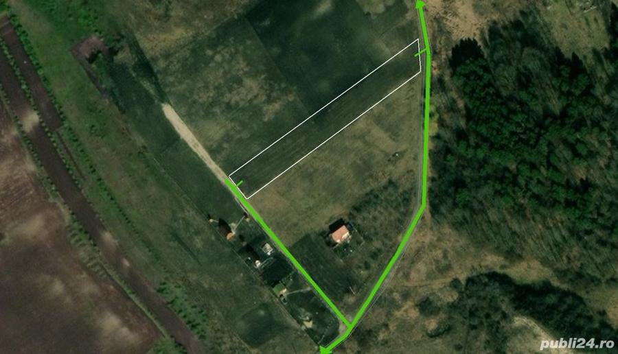 Teren „Fânațele Clujului - Copârșaie” - 1