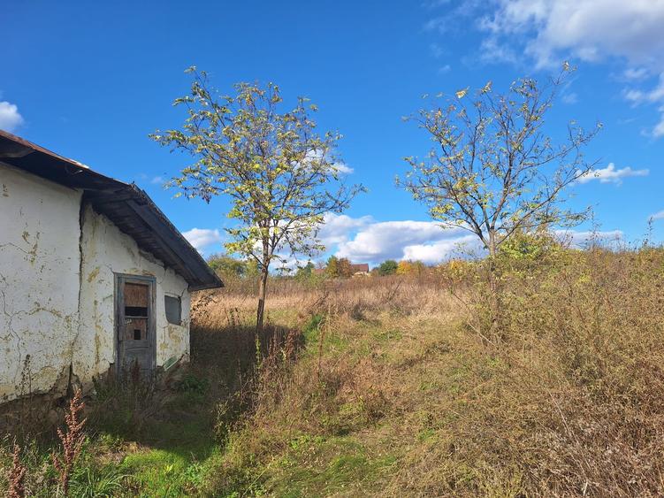 Casă bătrânească cu teren generos de vânzare în Proselnici, Miroslava - 8