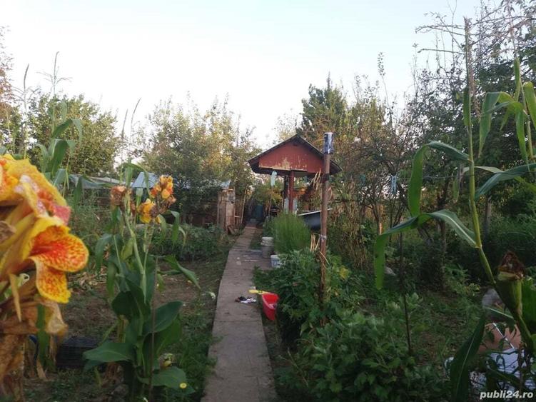 Vand urgent casa de vacanta o camera cu pod in Ghizdaru - 9