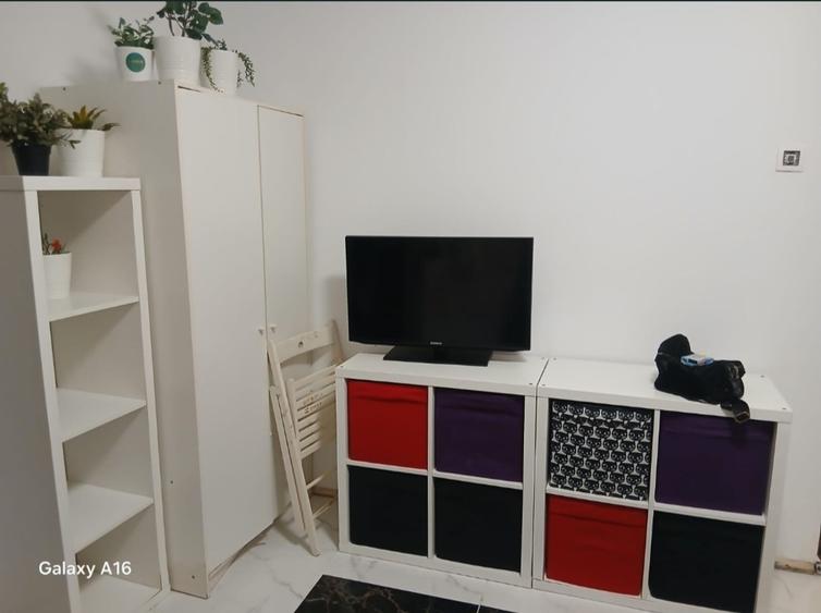 Pantelimon, Spital, parc - 5