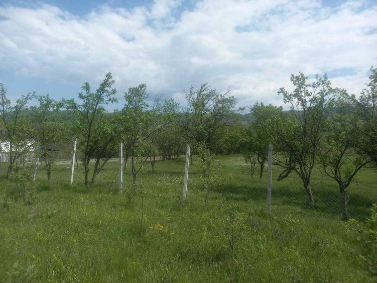 Teren intravilan 1700 mp - Drajna de Jos, Poiana Mierlei 15/mp, neg - 2
