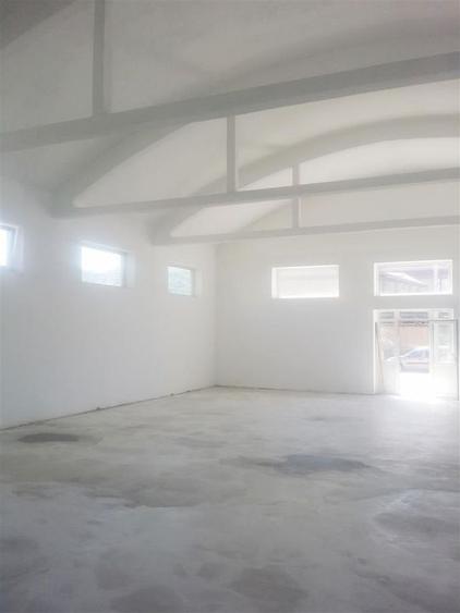 Spatiu: comercial, showroom, productie de inchiriat in Bartolomeu - 13