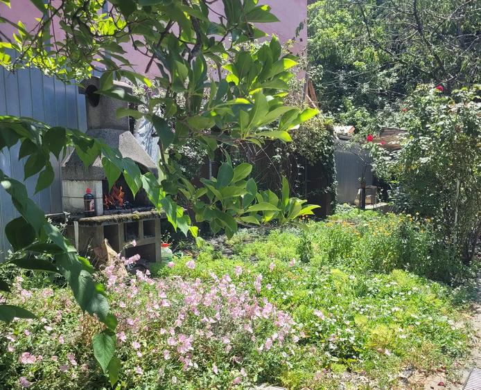 Vila cocheta P+E+M,2005,la 5 min de parc si 7 metrou Brancoveanu,teren generos - 13