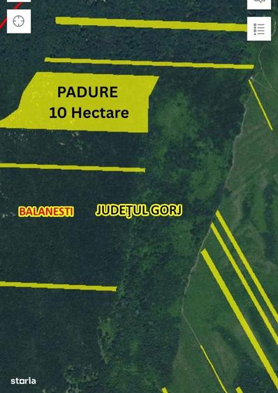 De vanzare padure 10 hectare, Balanesti, jud. Gorj - 2
