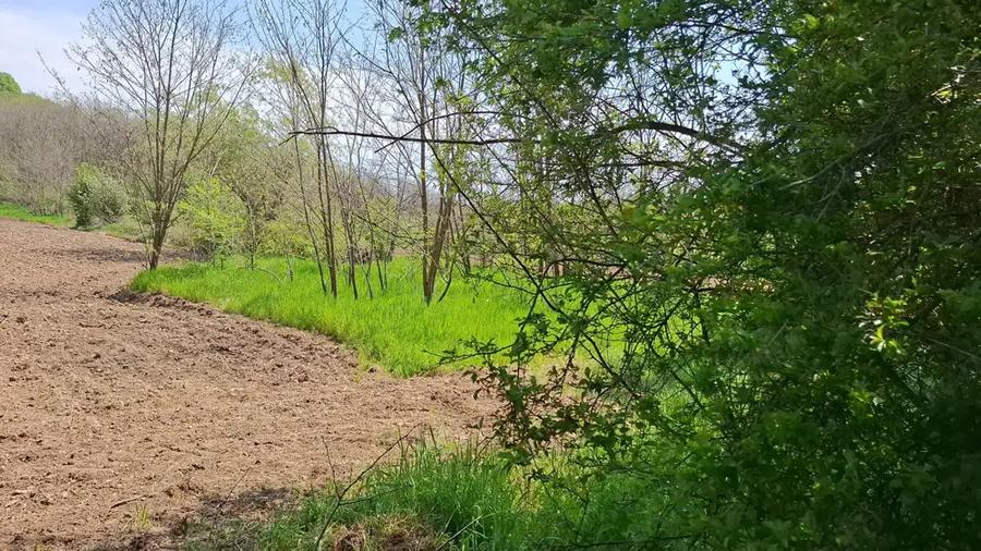 Casă cu 4 camere cu Teren 3850 Mp în Olanu