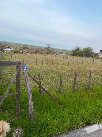 Teren de 2000 mp, în Țuglui