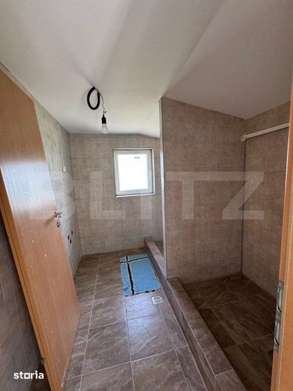 Casă cu 6 camere cu Teren 8700 Mp în Mihai Viteazu