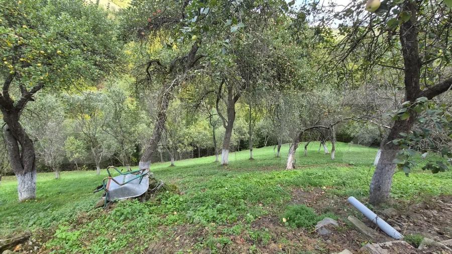 Casă individuală cu 3 camere cu Teren 23000 Mp în Poiana Mărului