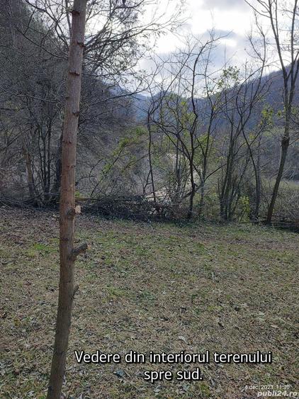 Teren în Pecinișca